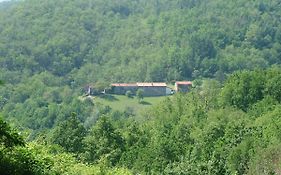 Agriturismo Ca Del Lupo